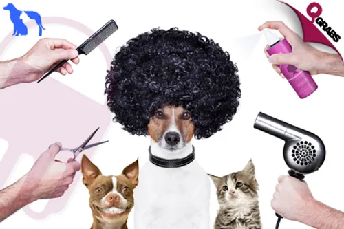 From QR150 Pamper your Pets and get a Grooming Session with Nail Trimming OR for QR350 Get Teeth Cleaning with Nail Trimming! (Up to QR700 Value)